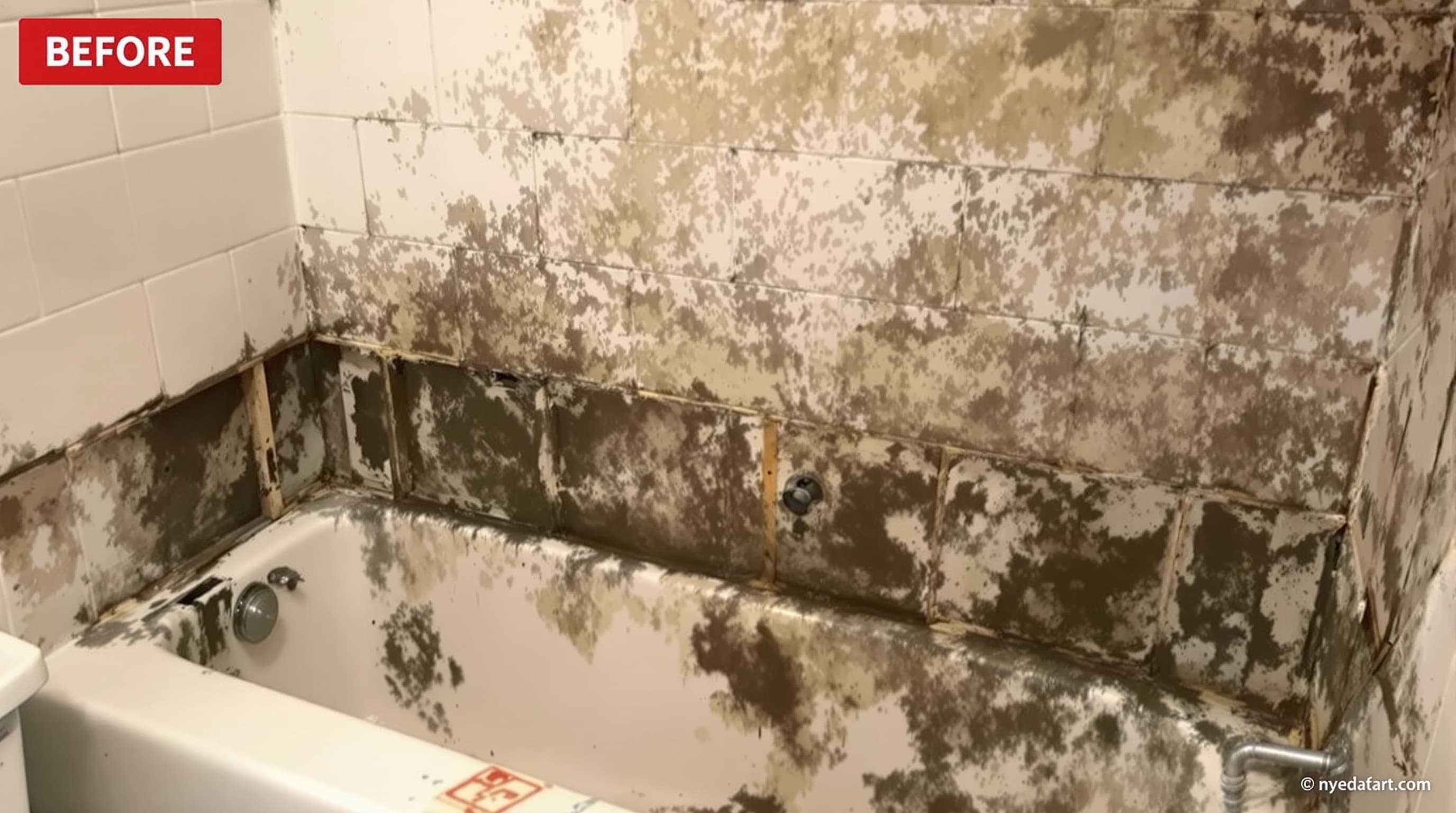 Bathroom Wall-Cavity Mold — before